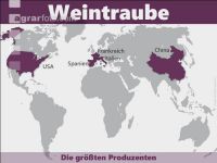 Weintrauben weltweit