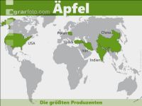 Äpfel weltweit 2