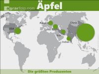 Äpfel weltweit 1