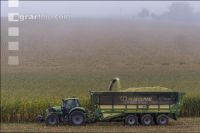 Mais häckseln im Nebel 34