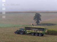 Mais häckseln im Nebel 33