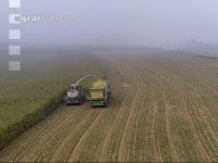 Mais häckseln im Nebel 32