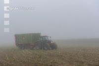 Mais häckseln im Nebel 28