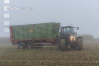 Mais häckseln im Nebel 26
