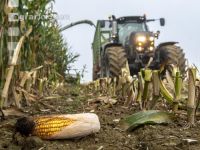 Corn silage harvest fog 22