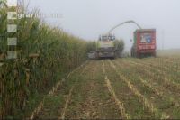 Corn silage harvest fog 21