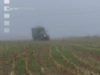 Corn silage harvest fog 19