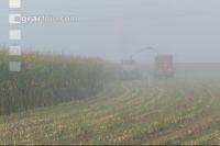 Mais häckseln im Nebel 15