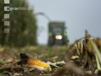 Corn silage harvest fog 5
