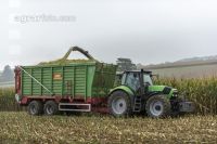Corn silage harvest fog 12