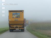 Mais häckseln im Nebel 10