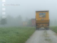 Mais häckseln im Nebel 7