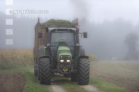 Mais häckseln im Nebel 6