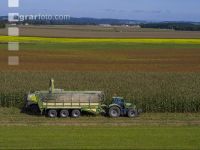 Corn silage harvest 87