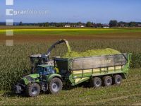Corn silage harvest 85