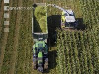 Corn silage harvest 77