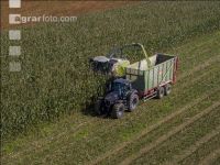 Corn silage harvest 76