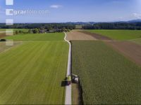 Corn silage harvest 58