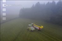 Gras häckseln im Nebel 3
