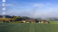 Autumn Alpenvorland 6