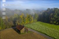 Krems floodplains 7
