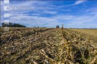 Maize chaff-cutter 28