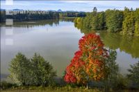 Karpfenteich 2