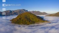 Buchenwald im Nebel 01