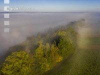 Almtal Morgenstimmung 7
