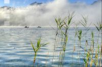 Sonne und Nebel am See