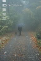 November