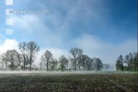 Morgennebel und Sonne 7