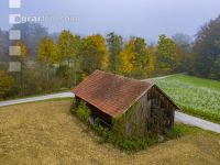 Autumn landscape 10