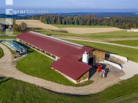 Bull fattening stable 