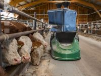 Feeding robot 9