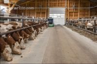 Feeding robot 4