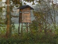 Hochstand 20