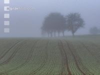 Herbstliche Impressionen 5