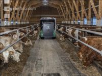 Feeding robot bulls 8