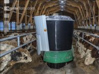 Feeding robot bulls 7