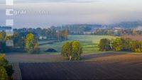 Autumn landscape 4