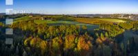 Herbstlandschaft 21