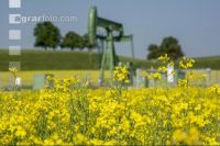 Ölraps und Ölpumpanlage 1