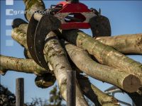 Ash pulpwood 4