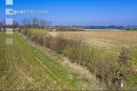 Feldhecke im März 02