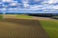 Cultivated land in March 4