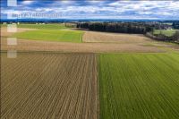 Cultivated land in March 2