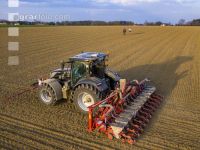 Beet seeding 160