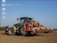 Beet seeding 139