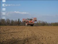 Beet seeding 138